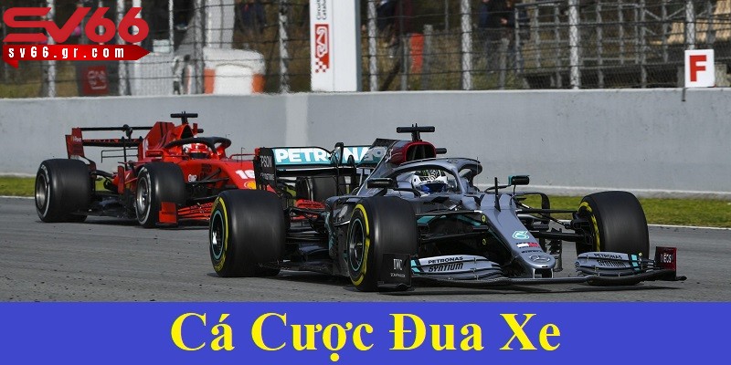 Cá cược đua xe - Hình thức giải trí đầy kịch tính tại SV66 1 Cá cược đua xe