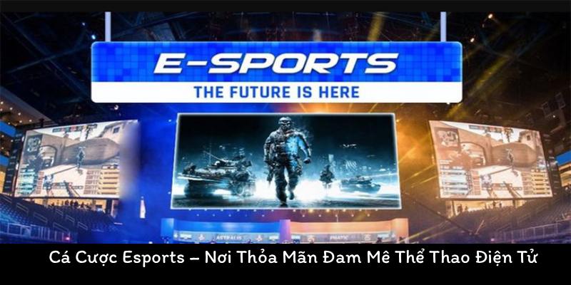 Cá cược Esports – Nơi thỏa mãn đam mê thể thao điện tử 1 cá cược Esports