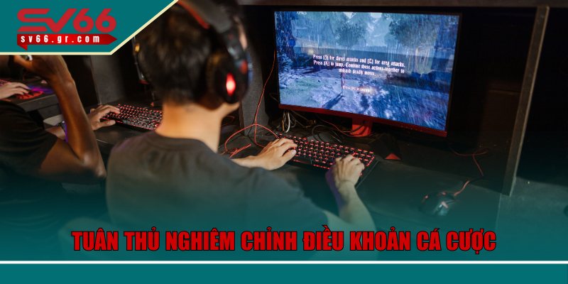 Tuân thủ nghiêm chỉnh điều khoản cá cược